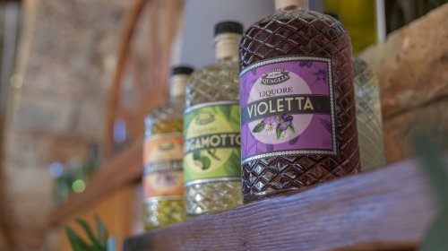 Tenute Al Bano - Cellino San Marco