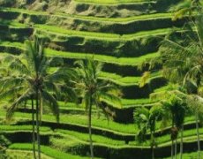 Bali a Lombok všemi smysly