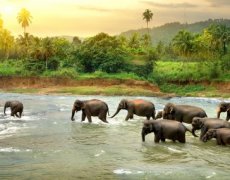 Srí Lanka - Cesta za Perlou Indického oceánu