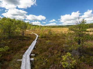 Poznávací zájezd Romantické putování Finskou divočinou