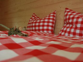 Ferienhaus Eckstoa