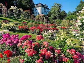Zámek Laxenburg a slavnosti růží v Badenu - Pobytové zájezdy