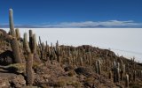 Katalog zájezdů - Bolívie, To nejlepší z Bolívie