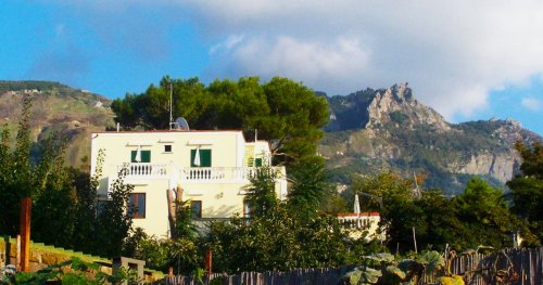 Hotel Hibiscus - Forio