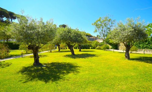 Hotel Park Victoria - Forio