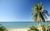 Katalog zájezdů - Trinidad a Tobago, Hotel Starfish, Tobago