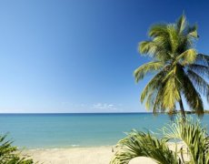 Hotel Starfish, Tobago