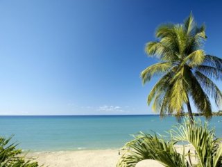 Hotel Starfish, Tobago