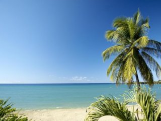 Hotel Starfish, Tobago - Pobytové zájezdy