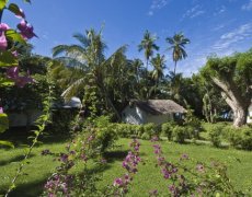 Le Jardin Maoré, Mayotte  A´Gouja