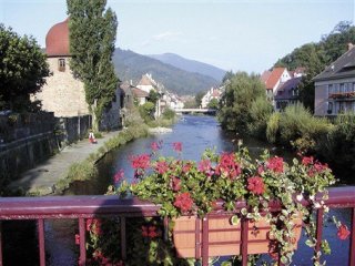Alsasko, Schwarzwald, Vogézy, zážitky na vinné stezce a slavnost chryzanthem - Alsasko - Francie - Poznávací zájezdy