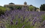 Provence s vůní levandule a koupáním, letecky