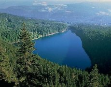 Krásy Šumavy, hory, jezera a slatě i Bavorský les