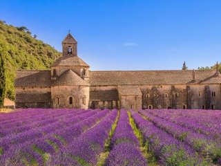 LEVANDULOVÁ PROVENCE s vínem a mořem - Provence - Francie, Arles - Pobytové zájezdy