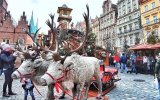 Podmanivá vánoční Vratislav