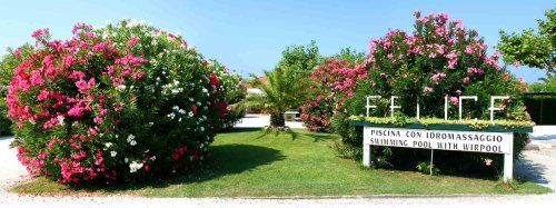 Hotel La Pigna - Marina Di Pietrasanta