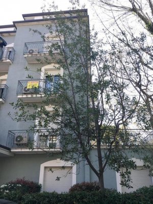Residence Riviera - Rimini