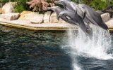 Katalog zájezdů, Německý LEGOLAND® a norimberská zoo s delfináriem