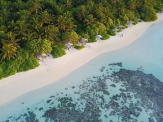 Plumeria Maldives - Pobytové zájezdy