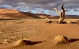 Katalog zájezdů - Namíbie, Namibie – země kontrastů