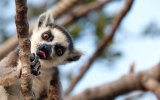 Katalog zájezdů - Madagaskar, Vítejte na Madagaskaru!