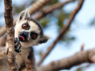 Vítejte na Madagaskaru! - Poznávací zájezdy