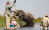 Katalog zájezdů, Botswana, Zimbabwe, Zambie - Africké království divočiny – Delta Okavanga, NP Chobe a Viktoriiny vodopády