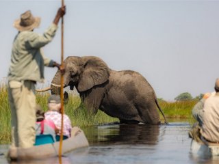 Botswana, Zimbabwe, Zambie - Africké království divočiny – Delta Okavanga, NP Chobe a Viktoriiny vodopády - Poznávací zájezdy