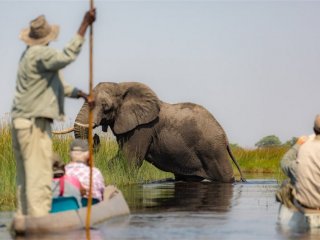 Botswana - Delta Okavanga - Africké království divočiny