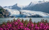 USA - Na cestě divokou Aljaškou s lehkou turistikou