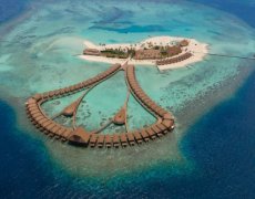 CINNAMON VELIFUSHI 4