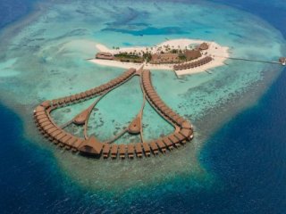 CINNAMON VELIFUSHI 4