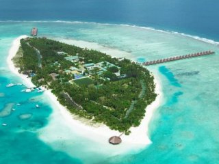 Meeru Island Resort, severní Male atol - Beach Villa