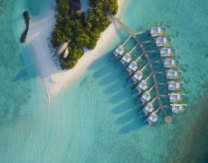 Dhigali Maldives  Raa atol - Deluxe Beach Bungalov