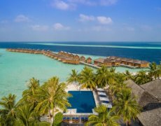 Vilamendhoo Island Resort, jižní Ari atol - Adjoining Beach Villa