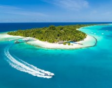 Kuramathi Island, Maledivy-severní Ari atol - Beach Villa