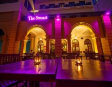 THE STEUART MY CITRUS 3  