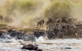Uganda, Keňa - Nejúžasnější africké safari s permity a soukromými lety v ceně