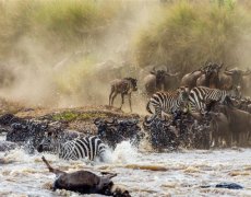Uganda, Keňa - Nejúžasnější africké safari s permity a soukromými lety v ceně