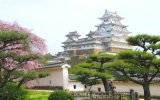 JAPONSKO – okruh na Honšú, památky UNESCO i metropole v době květu sakur