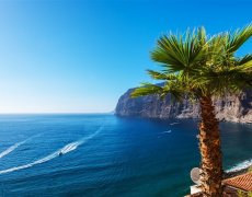 Kanárské Ostrovy - Tenerife