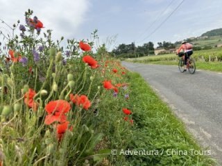 Beaujolais na kole