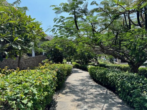 Hotel Club Jumbo Resort Watamu