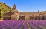PROVENCE to nej s vínem a mořem