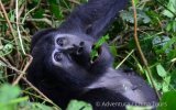 Katalog zájezdů, Uganda – zelená perla Afriky