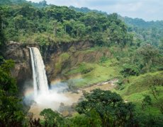 Kamerun - Okruh jižním Kamerunem