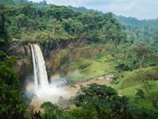Kamerun - Okruh jižním Kamerunem