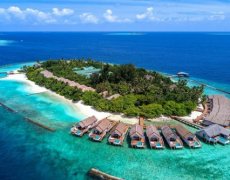 AMAYA KUDA RAH MALDIVES 5