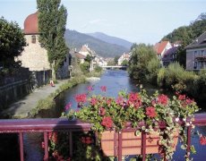 Alsasko, Schwarzwald, Vogézy, zážitky na vinné stezce a slavnost chryzanthem