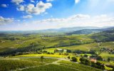 Beaujolais a Burgundsko, kláštery a slavnost vína